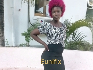 Eunifix