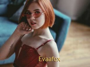 Evaafox