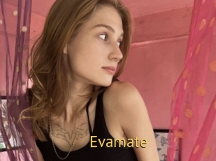 Evamate