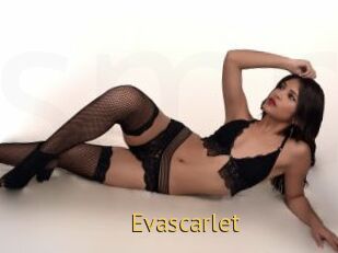 Evascarlet