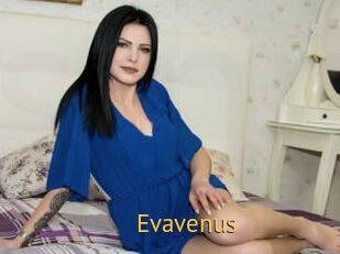 Evavenus