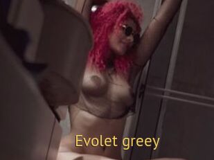 Evolet_greey
