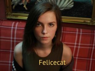 Felicecat