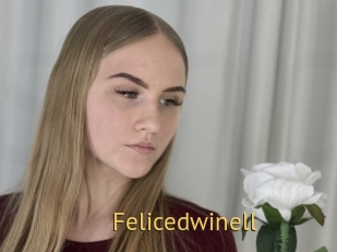 Felicedwinell