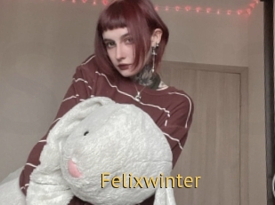 Felixwinter