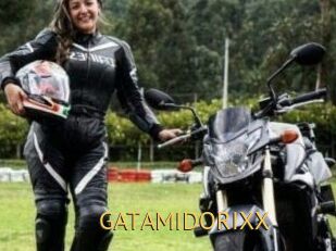 GATAMIDORIXX Smilin Pussy