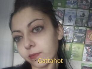 Gattahot