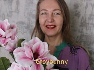 Greybunny