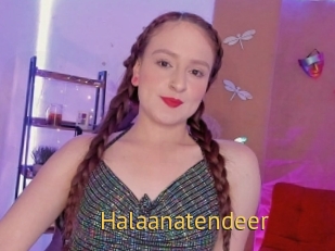 Halaanatendeer