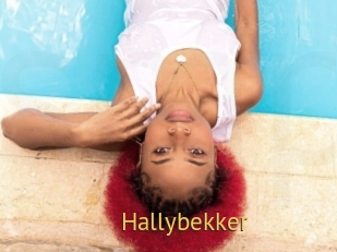 Hallybekker