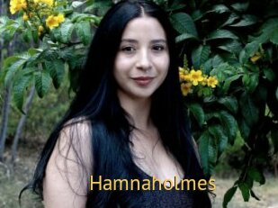 Hamnaholmes