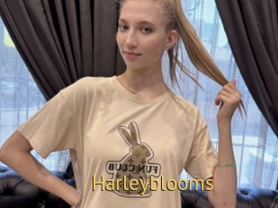 Harleyblooms