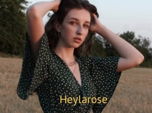 Heylarose