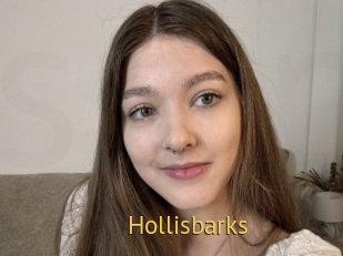 Hollisbarks