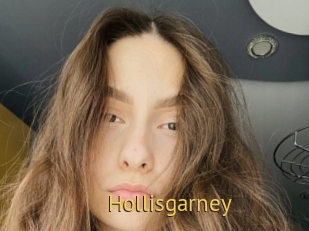 Hollisgarney