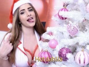 Hotdahlia