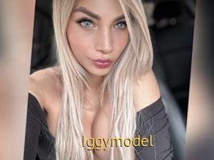 Iggymodel