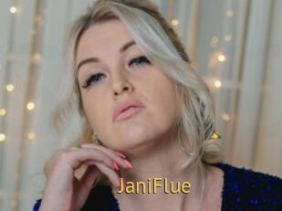 JaniFlue