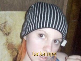 Jackalope
