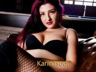 Karinasodi