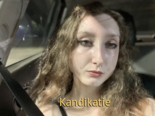Kandikatie