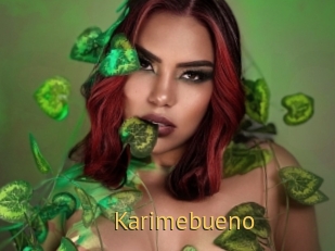 Karimebueno