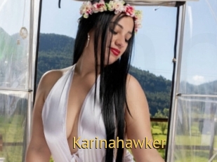 Karinahawker
