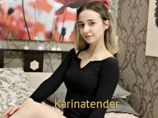 Karinatender