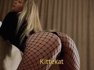 Kittekat