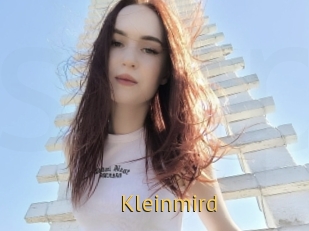 Kleinmird