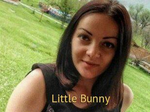 Little_Bunny_