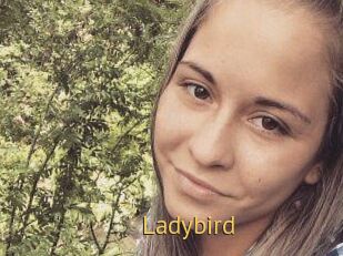 Ladybird