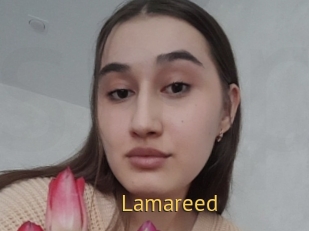 Lamareed