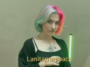 Lanitagriesbach