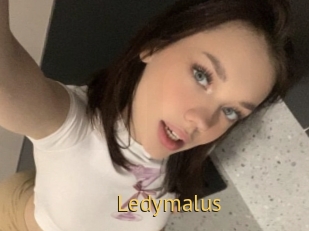 Ledymalus