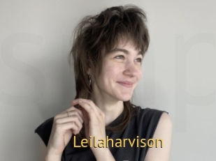 Leilaharvison