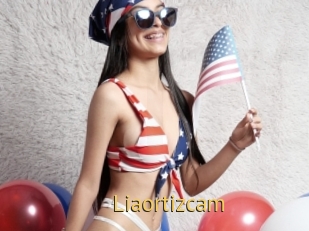 Liaortizcam