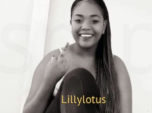 Lillylotus