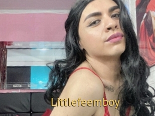 Littlefeemboy