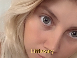 littlesary Smilin Pussy
