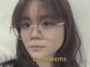 Littleseems
