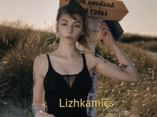 Lizhkamics