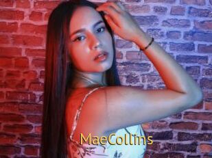 MaeCollins