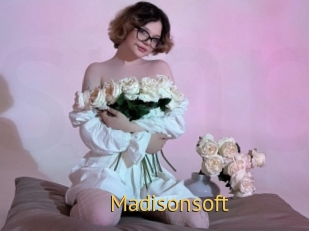 Madisonsoft