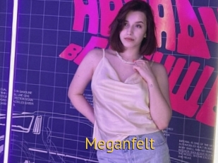 Meganfelt