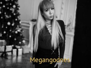 Megangodnes