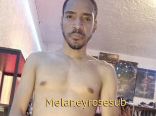 Melaneyrosesub