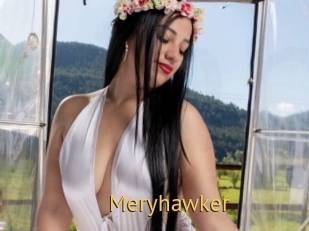 Meryhawker