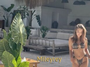Mileyrey