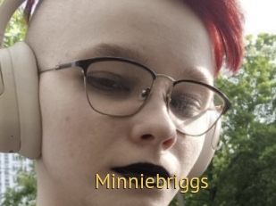 Minniebriggs